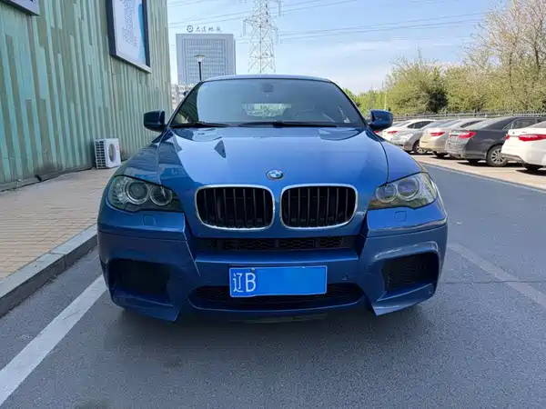 BMW X6 M 2010