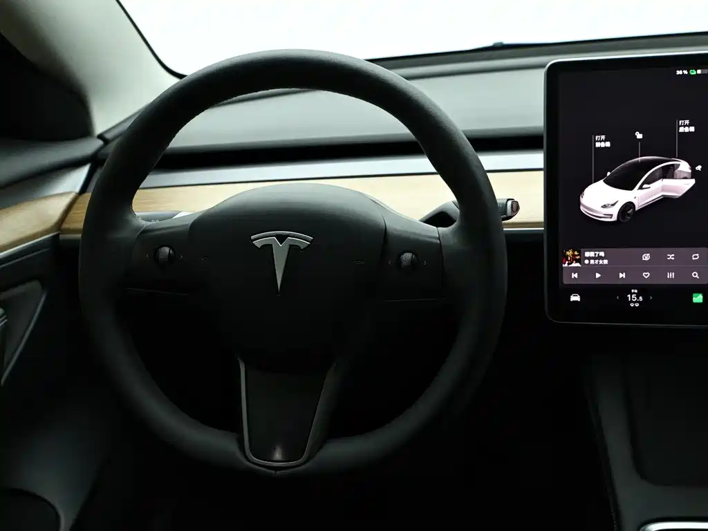 Tesla Model 3 2021 — фото 14