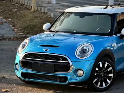 MINI MINI 2015