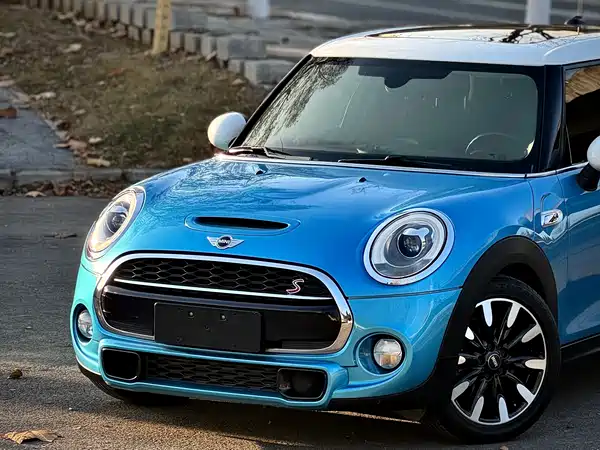 MINI MINI 2015
