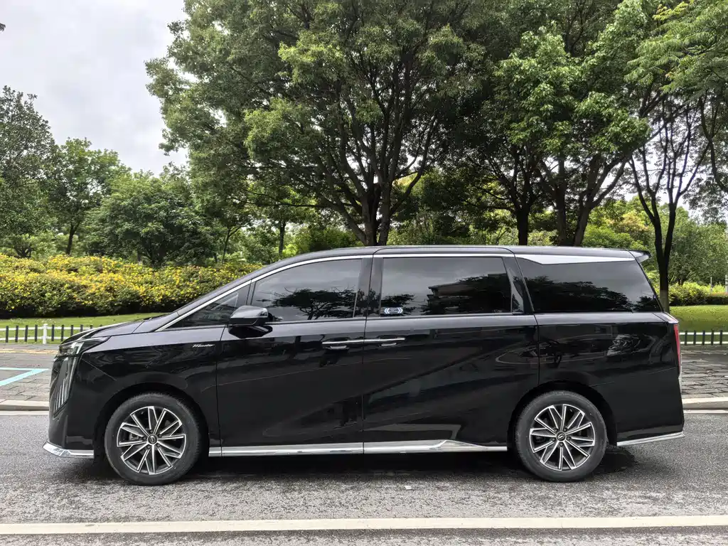 GAC Motor Trumpchi M8 2024 — фото 6