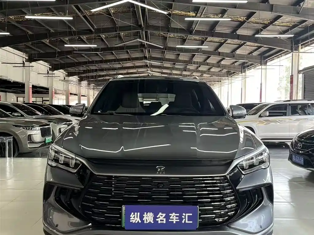 BYD Pro New Energy 2025 — фото 2