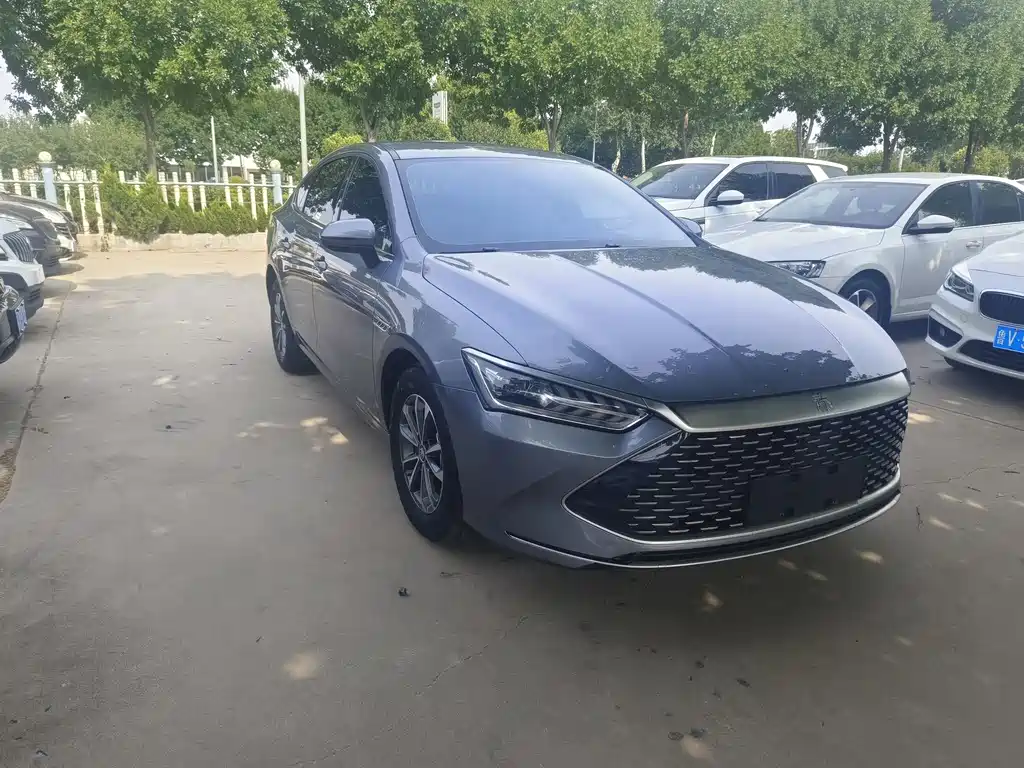 BYD Qin PLUS 2024 — фото 3