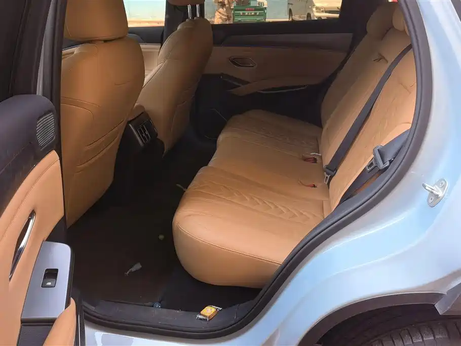 BYD L DM-i 2024 — фото 11