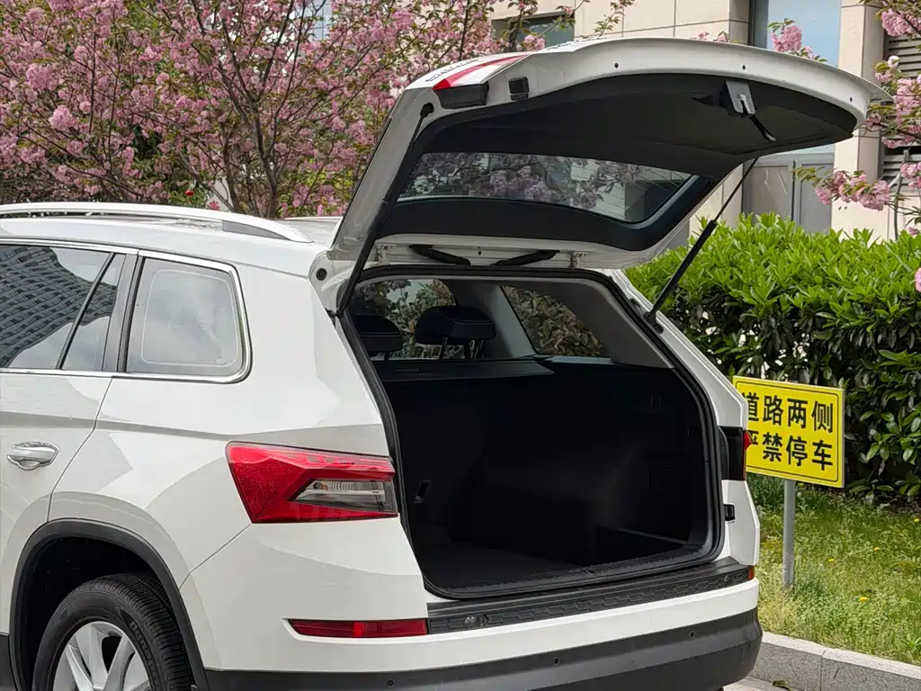 Skoda Kodiaq 2018 — фото 6