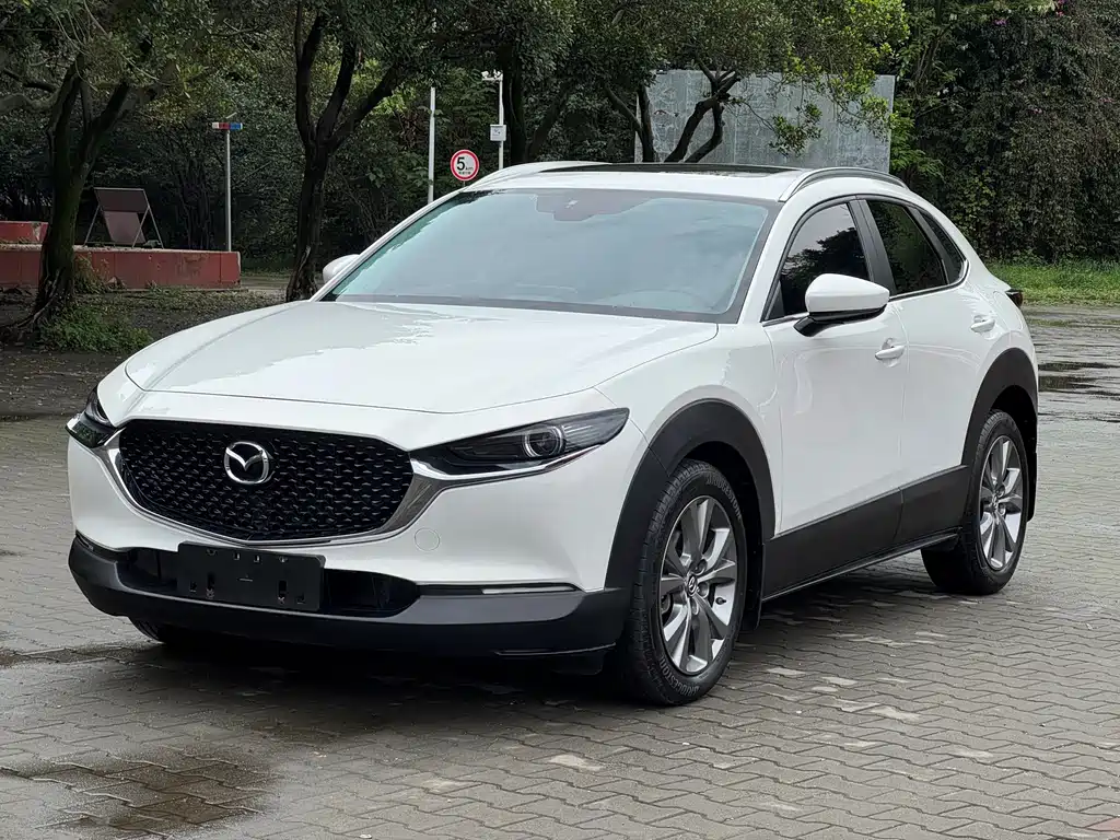 Mazda CX-30 2021 — фото 1