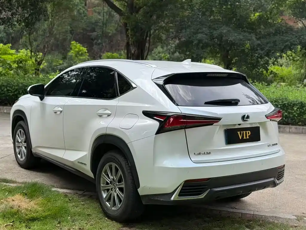Lexus NX 2020 — фото 9