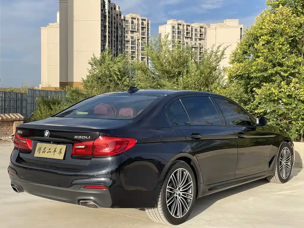 BMW 5 Series 2018 — фото 9