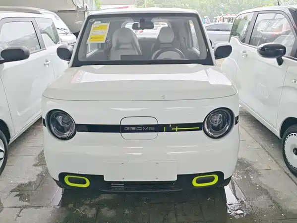 Geely Galaxy Panda 2026