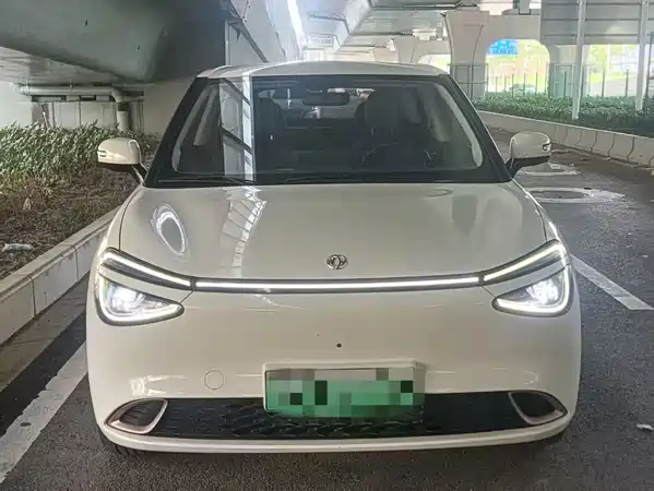 Dongfeng Nano 01 2025