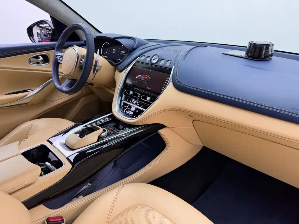 Aston Martin DBX 2021 — фото 12