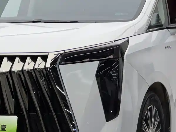 GAC Trumpchi E9 2024