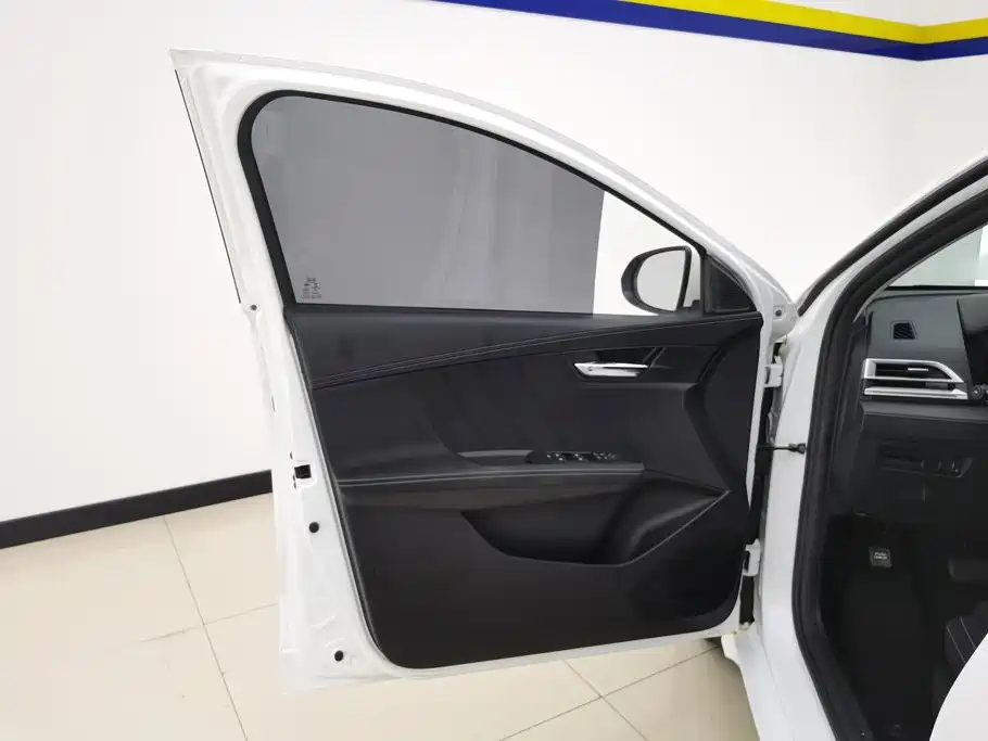 BYD e2 2020