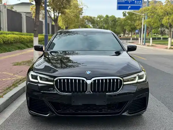 BMW 5 Series 2021