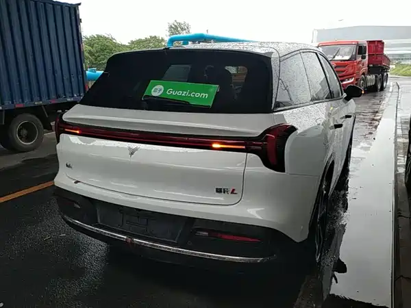 Neta L 2024