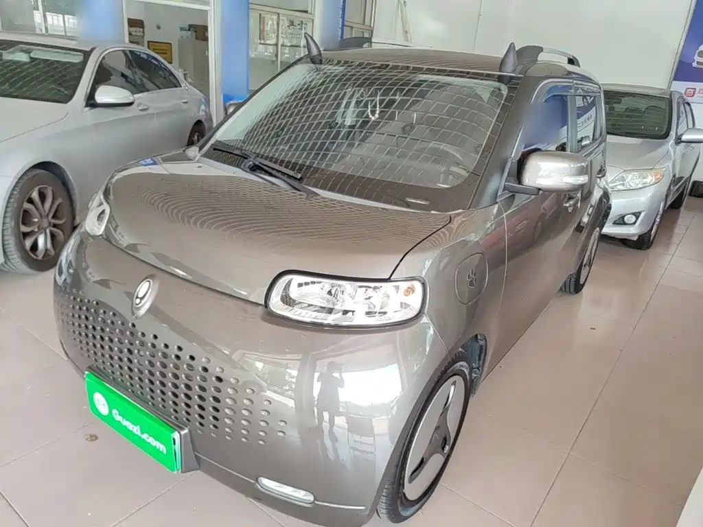 Ora White Cat 2022