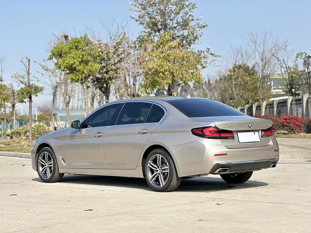 BMW 5 Series 2021