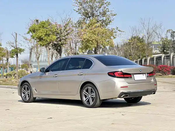 BMW 5 Series 2021