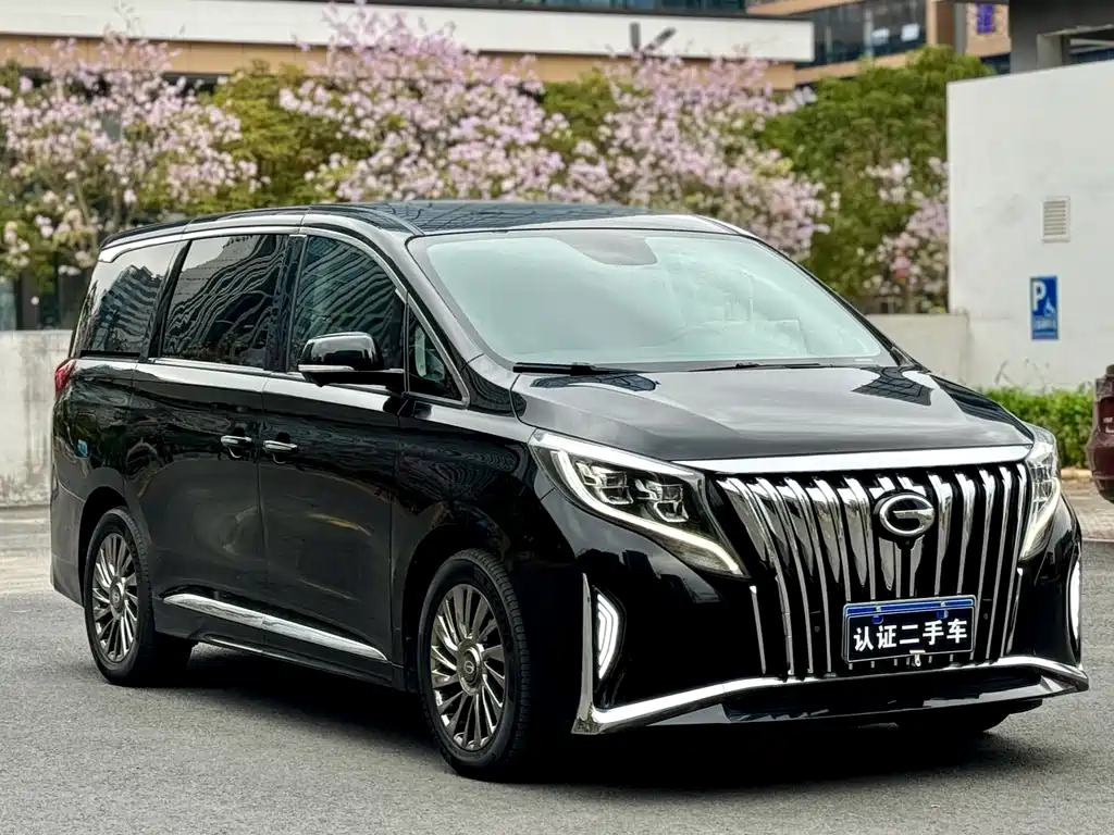 GAC Motor Trumpchi M8 2021 — фото 3