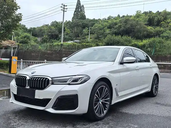 BMW 5 Series 2021