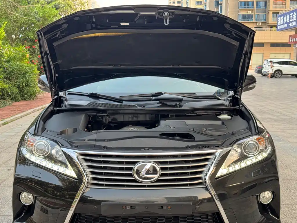 Lexus RX Classic 2014 — фото 23