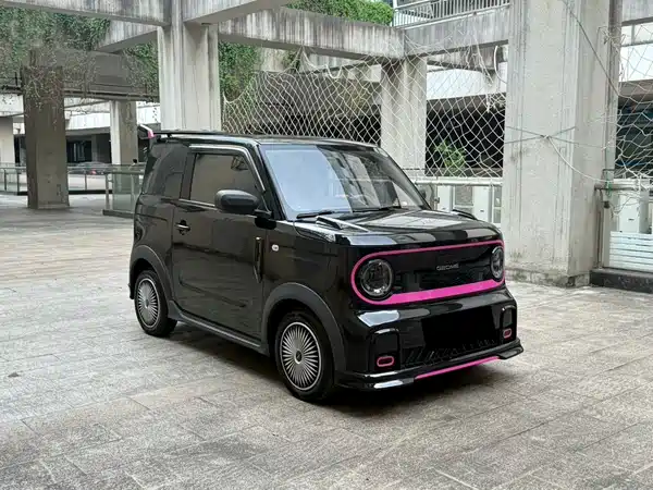 Geely Galaxy Panda 2024