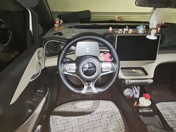 BYD Dolphin 2024