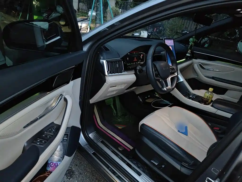 BYD Song PLUS New Energy 2024 — фото 14