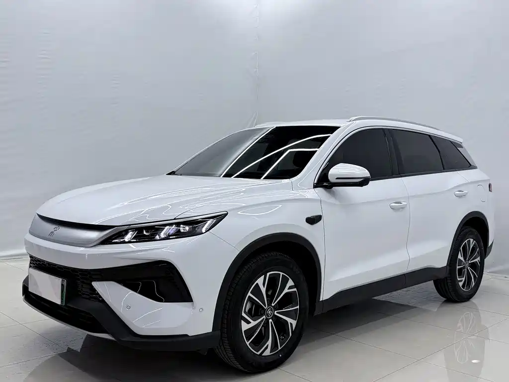BYD Song Pro New Energy 2025 — фото 1