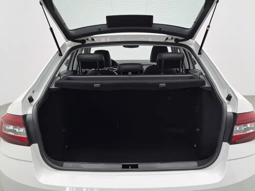 Skoda Octavia 2020 — фото 16
