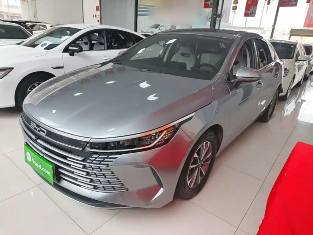 BYD Destroyer 05 2025 — фото 2