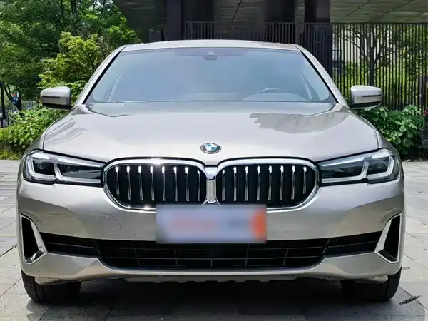 BMW 5 Series 2021