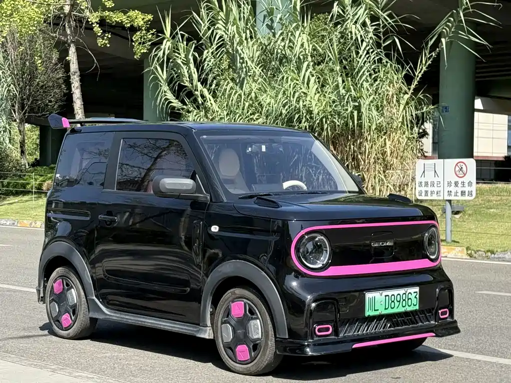 Geely Galaxy Panda 2024