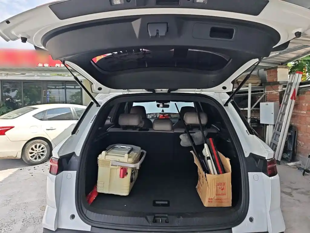 BYD Song Pro New Energy 2024 — фото 19