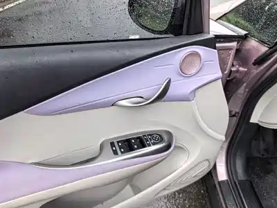 BYD Dolphin 2022
