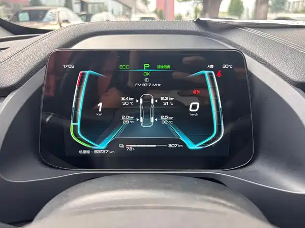 BYD Qin Pro New Energy 2020