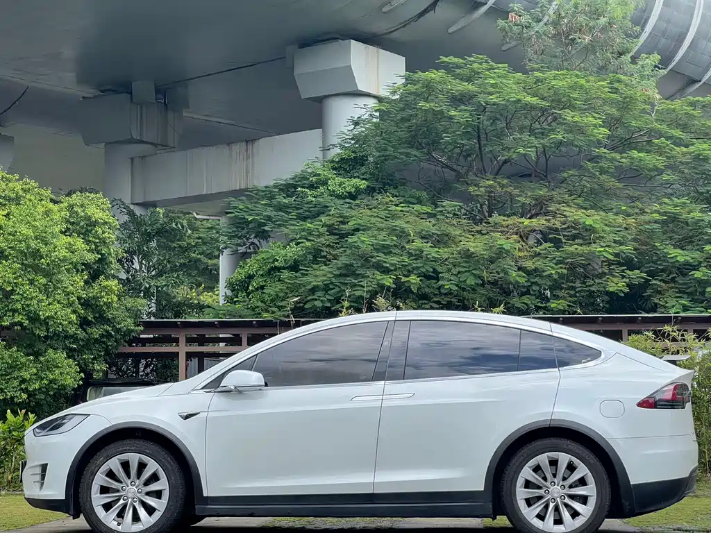 Tesla Model X 2018 — фото 7