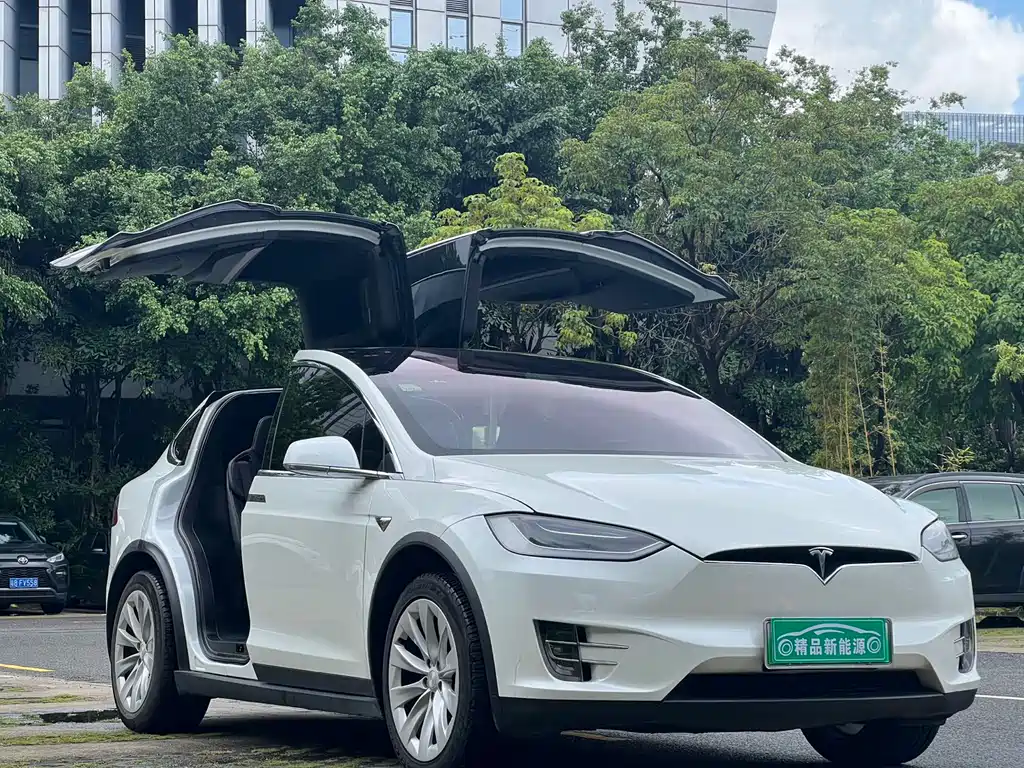 Tesla Model X 2018 — фото 10