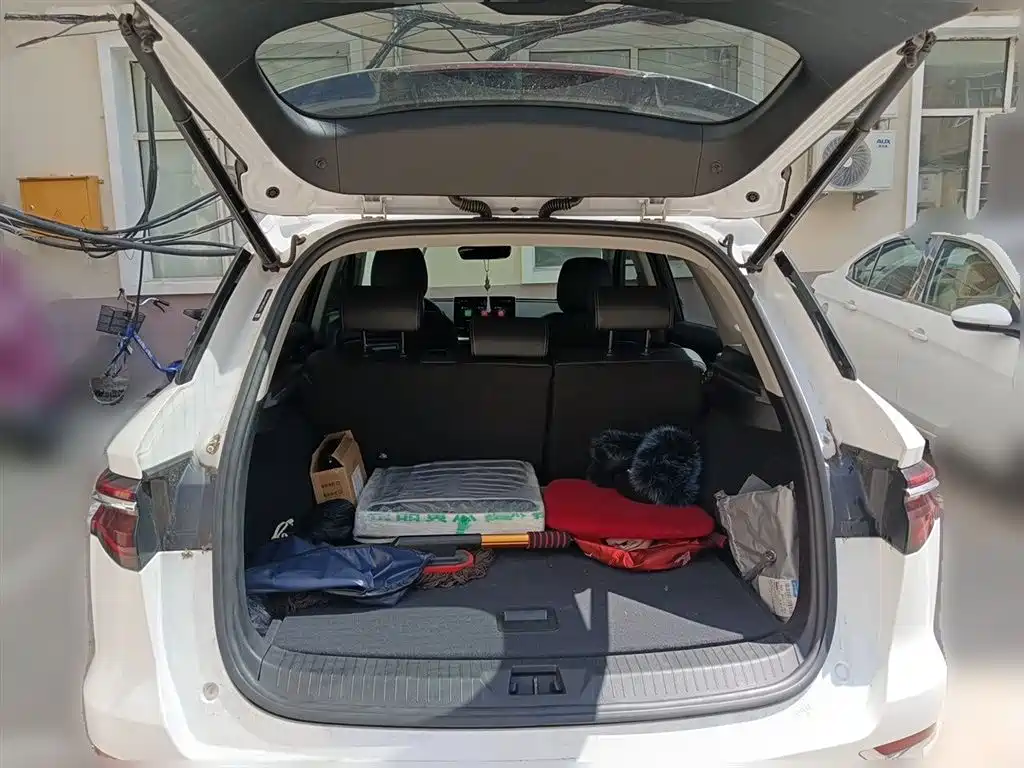 BYD Pro New Energy 2020 — фото 15