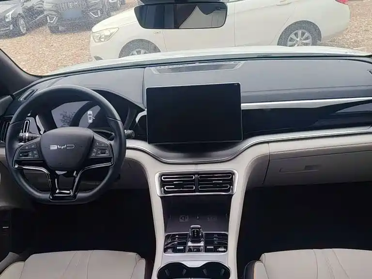 BYD PLUS New Energy 2023 — фото 14