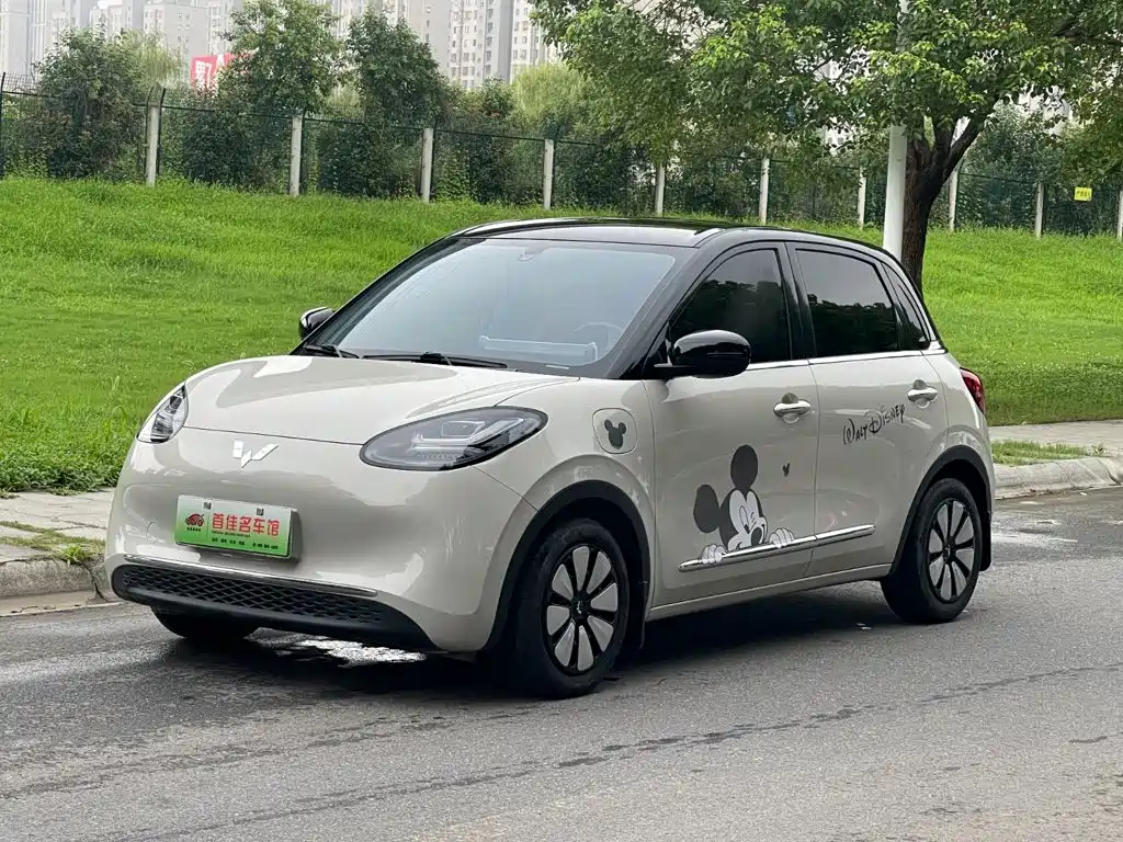 Wuling Bingo 2024