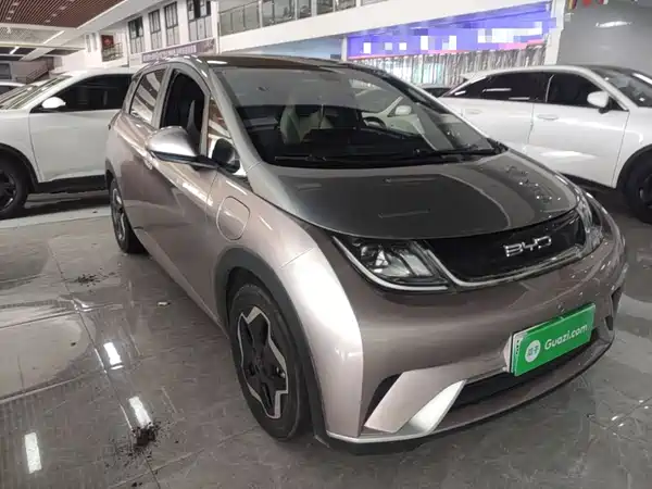 BYD Dolphin 2022