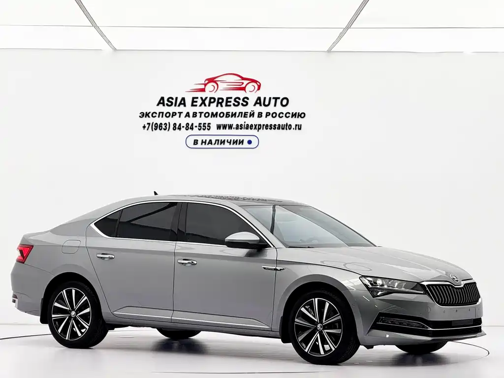 Skoda Speedy 2024