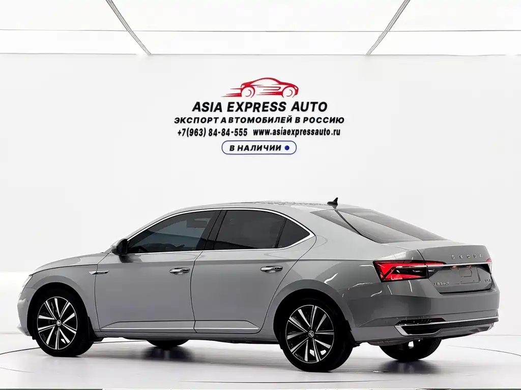 Skoda Speedy 2024