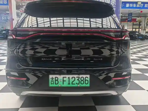 BYD Tang New Energy 2024