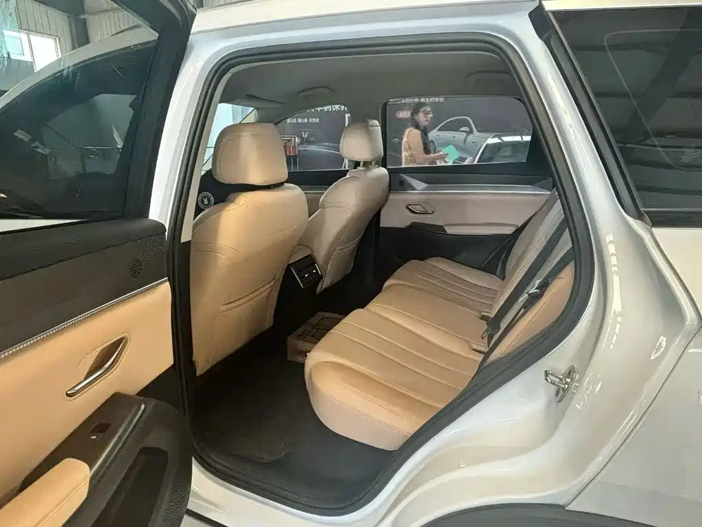 BYD Song Pro New Energy 2025 — фото 7