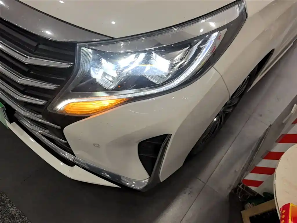 GAC Motor Trumpchi M8 2021 — фото 24