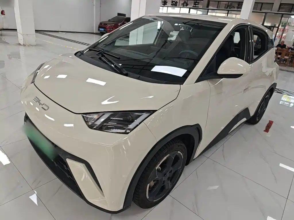 BYD Seagull 2024