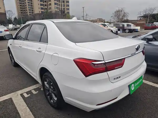 BYD Qin 2019