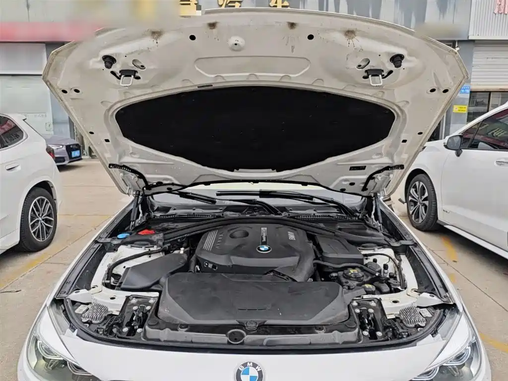 BMW 3 Series GT 2017 — фото 16